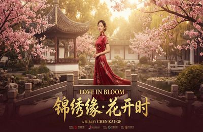 蘑菇视频精选视频 - 都市情缘